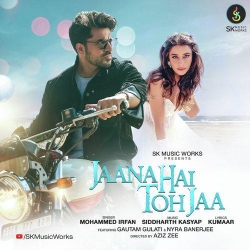 Jaana Hai Toh Jaa (Mohammed Irfan).mp3