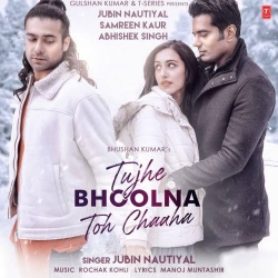 Tujhe Bhoolna Toh Chaaha Song - Jubin Nautiyal .mp3