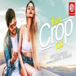 Tera Crop Top - Nitz Kakkar Official Song 2019 | Leena Jumani | Aryan Sharma | DRJ Records.mp3