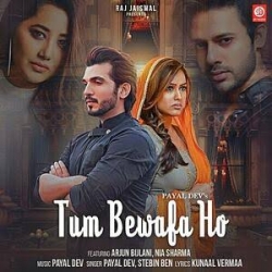 Tum Bewafa Ho - Stebin Ben, Payal Dev.mp3