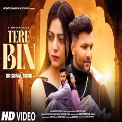 Tere Bin - Ashwani Machal.mp3