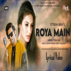 Roya main Stebin ban.mp3
