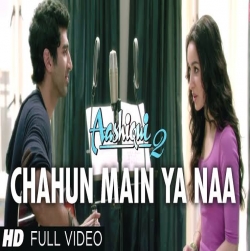 Chahun Main Ya Na (Aashiqui 2 (2013) Mp3 Song Download PagalWorld