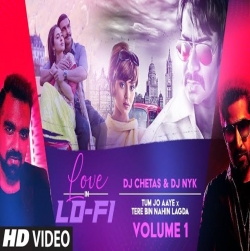 Tum Jo Aaye x Tere Bin Nahin Lagda - LoFi Remix Mp3 Song Download HindiSongMp3.Com