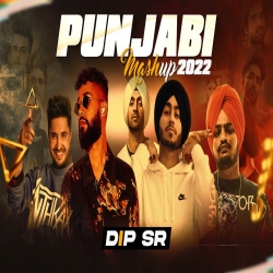 Punjabi Mashup 2022 - Dip SR Mp3 Download Various Artist HindiSongMp3.In