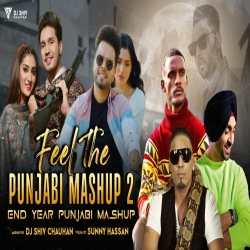 Feel The Punjabi Mashup 2 - DJ Shiv Chauhan, Sunny Hassan Mp3 Download Various Artist.mp3