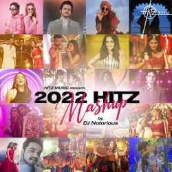 2022 Hitz Mashup - DJ Notorious Mp3 Download Various Artist.mp3