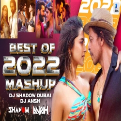 Best of 2022 Mashup - DJ Shadow Dubai x DJ Ansh Mp3 Download Various Artist.mp3