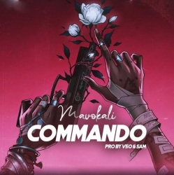 Commando Mavokali Mp3 Song Download PagalWorld.mp3
