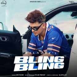 Bling Bling Dilnoor Mp3 Song Download.mp3