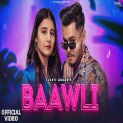 Baawli Pulkit Arora Mp3 Song Download.mp3