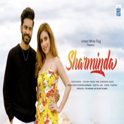 Sharminda Nirrwaan Mp3 Song Download PagalWorld.mp3
