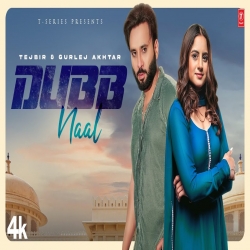Dubb Naal Tejbir, Gurlej Akhtar.mp3