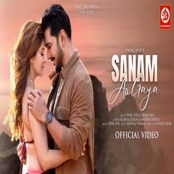 Sanam Aa Gaya Payal Dev, Stebin Ben.mp3