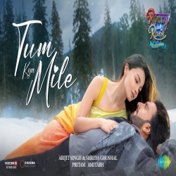 Tum Kya Mile Arijit Singh, Shreya Ghoshal.mp3