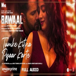 Tumhe Kitna Pyaar Karte (Bawaal) Arijit Singh.mp3