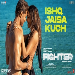 Ishq Jaisa Kuch (Fighter) Vishal, Sheykhar, Shilpa Rao, Mellow D.mp3