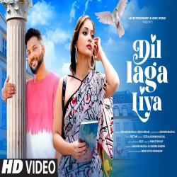 Dil Laga Liya (Old Song New Version Hindi) Cover Ashwani Machal and Neha Singha.mp3