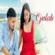 Gulab (Official Music )- Karan Randhawa