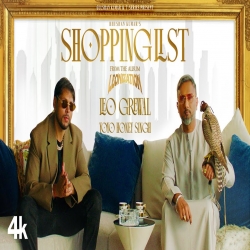 Shopping List Leo Grewal, Yo Yo Honey Singh.mp3